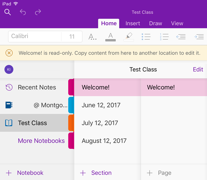 Writing Notes in OneNote on an iPad Print View
